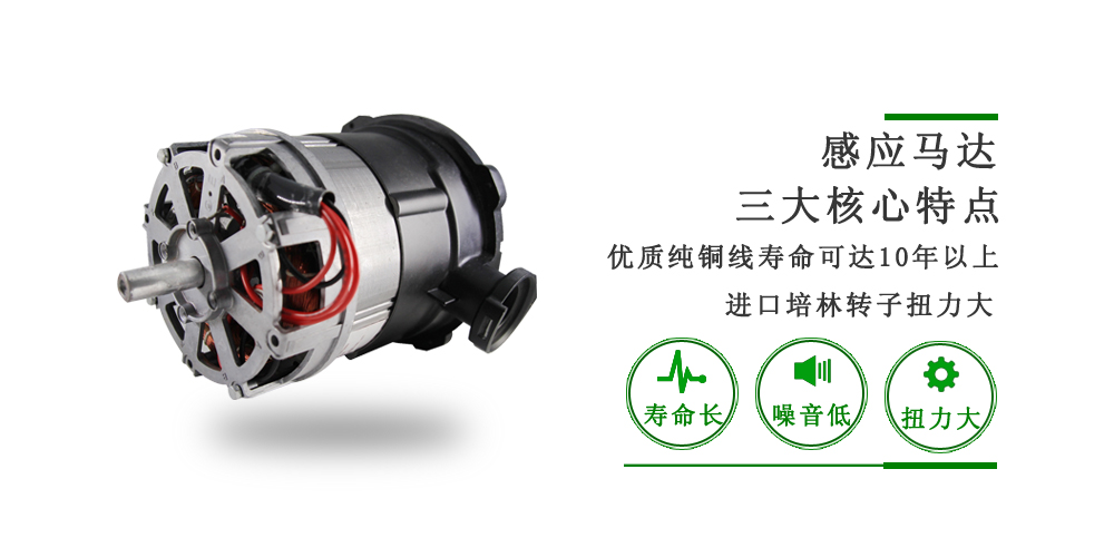 垃圾處理器單相交流電機(jī)
